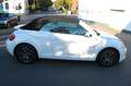 Volkswagen Beetle Cabriolet Allstar BMT Kamera 1. Hand Blanc - thumbnail 24