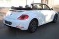 Volkswagen Beetle Cabriolet Allstar BMT Kamera 1. Hand Blanc - thumbnail 7