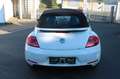 Volkswagen Beetle Cabriolet Allstar BMT Kamera 1. Hand Blanc - thumbnail 22