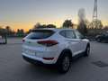 Hyundai TUCSON 1.7 crdi Comfort Plus Pack 2wd 115cv Bianco - thumbnail 4