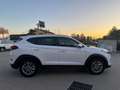 Hyundai TUCSON 1.7 crdi Comfort Plus Pack 2wd 115cv Bianco - thumbnail 5