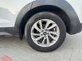 Hyundai TUCSON 1.7 crdi Comfort Plus Pack 2wd 115cv Bianco - thumbnail 12