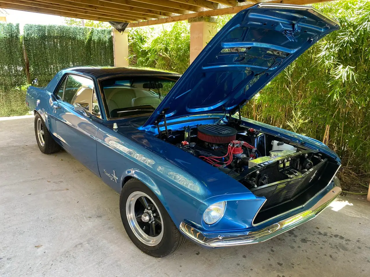 Ford Mustang 302 Coupe, foto 7