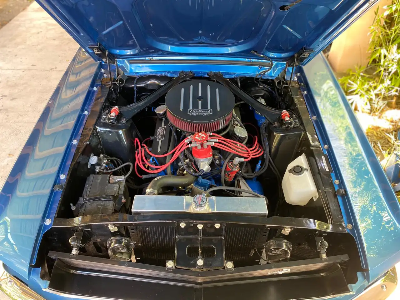 Ford Mustang 302 Coupe, foto 10
