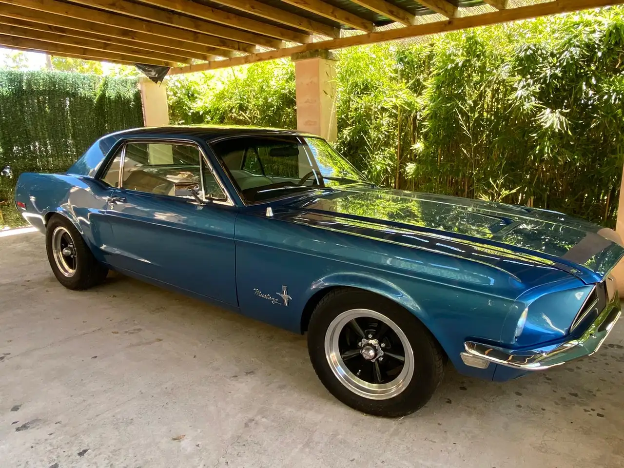 Ford Mustang 302 Coupe, foto 6