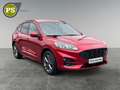 Ford Kuga ST-Line 1.5 EcoBlue AHK Navi Digitales Cock.  ACC Rot - thumbnail 8
