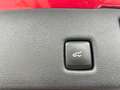 Ford Kuga ST-Line 1.5 EcoBlue AHK Navi Digitales Cock.  ACC Rot - thumbnail 15