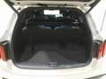 Kia Sorento Platinum 4WD *7-SITZE*PANORAMA*20Zoll*Metallic* Weiß - thumbnail 11