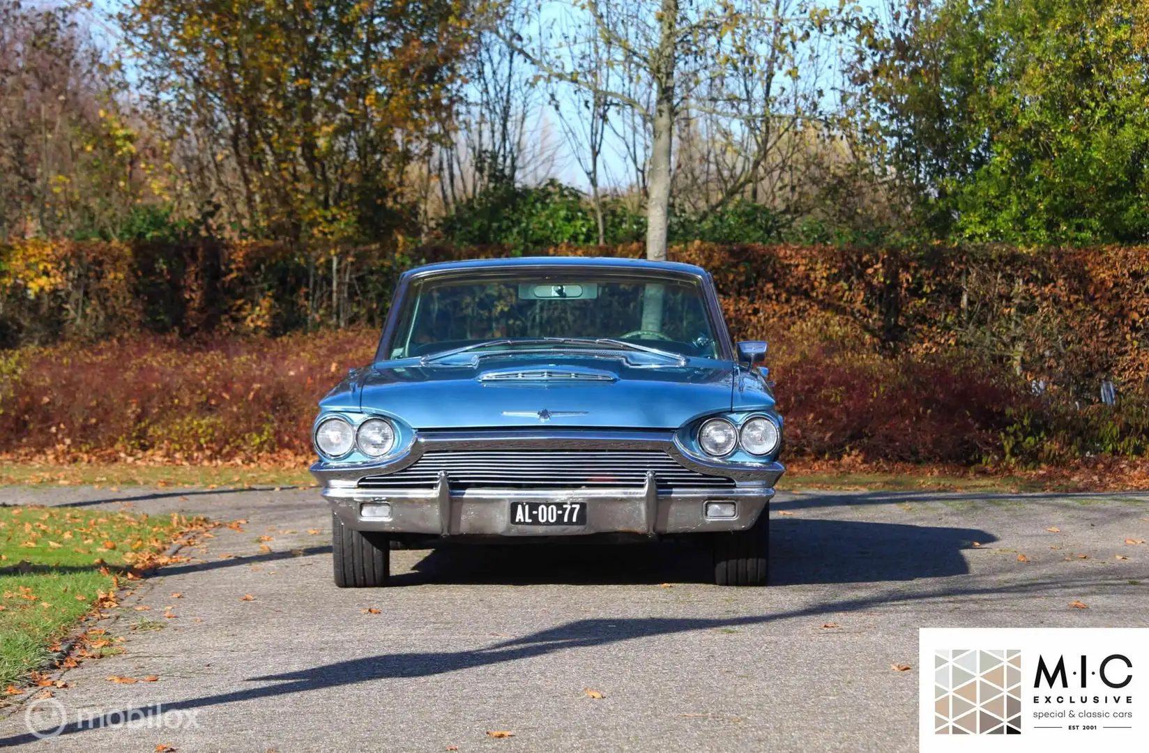 Ford Thunderbird USA 5.8 V8 Hardtop Bleu - 2