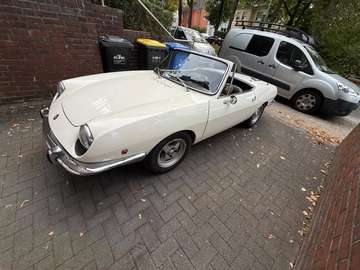Spider Sport