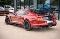 Ford Mustang GT 5,0 SHELBY GT 500 PREMIUM RECARO TOP Rood - thumbnail 14