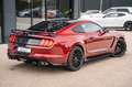 Ford Mustang GT 5,0 SHELBY GT 500 PREMIUM RECARO TOP Rood - thumbnail 13