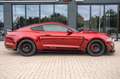 Ford Mustang GT 5,0 SHELBY GT 500 PREMIUM RECARO TOP Rood - thumbnail 12