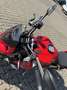 Ducati Streetfighter V2 mit nur 1300KM. NT Umbau und weitere Extras Rojo - thumbnail 14