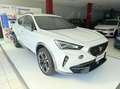 CUPRA Formentor 2.0 tdi 150cv dsg 4x4 Bianco - thumbnail 3