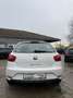 SEAT Ibiza Lim. Style Salsa 8 Fach bereift Weiß - thumbnail 6