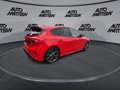 Ford Focus ST 2.3 NAVI|Winterpaket| 8-fach|SHZ|BFS Rojo - thumbnail 6