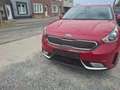 Kia Niro Niro HEV 1.6 GDi Sense DCT Rouge - thumbnail 3