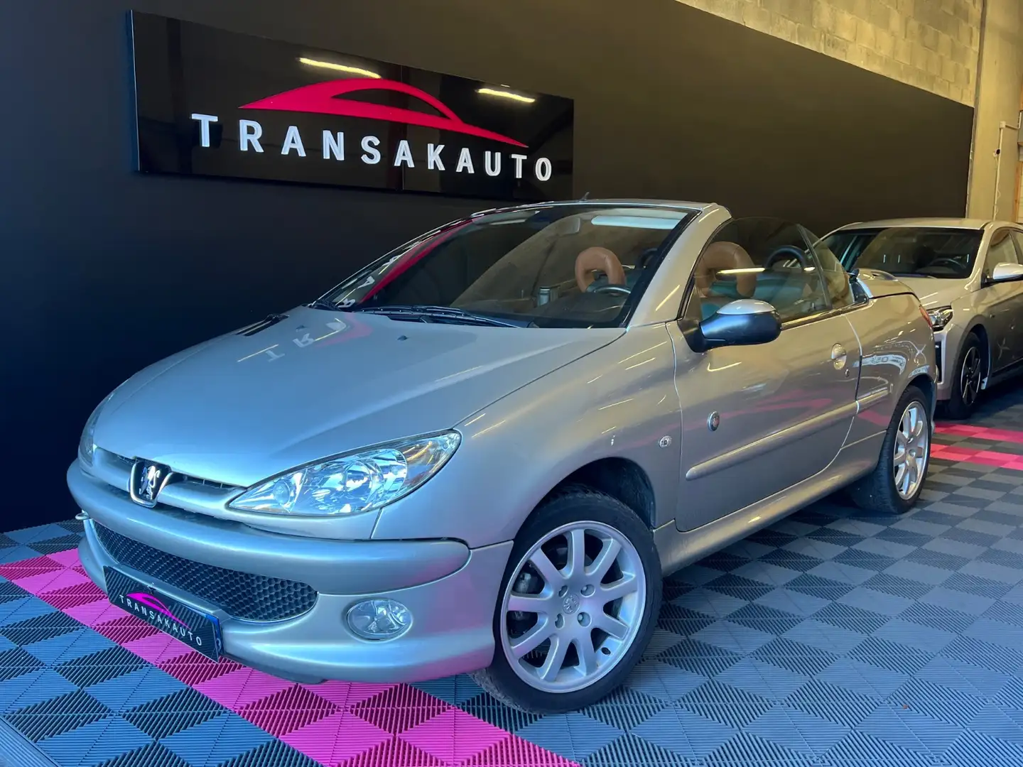 Peugeot 206 Roland Garros Gris - 1