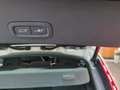 Volvo C40 Plus Recharge Pure Electric AWD StandHZG Digitales Silber - thumbnail 7