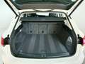 Volkswagen Touareg V6 3.0TDI 4mot. AHK/ACC/LED/Leder Navi Weiß - thumbnail 12