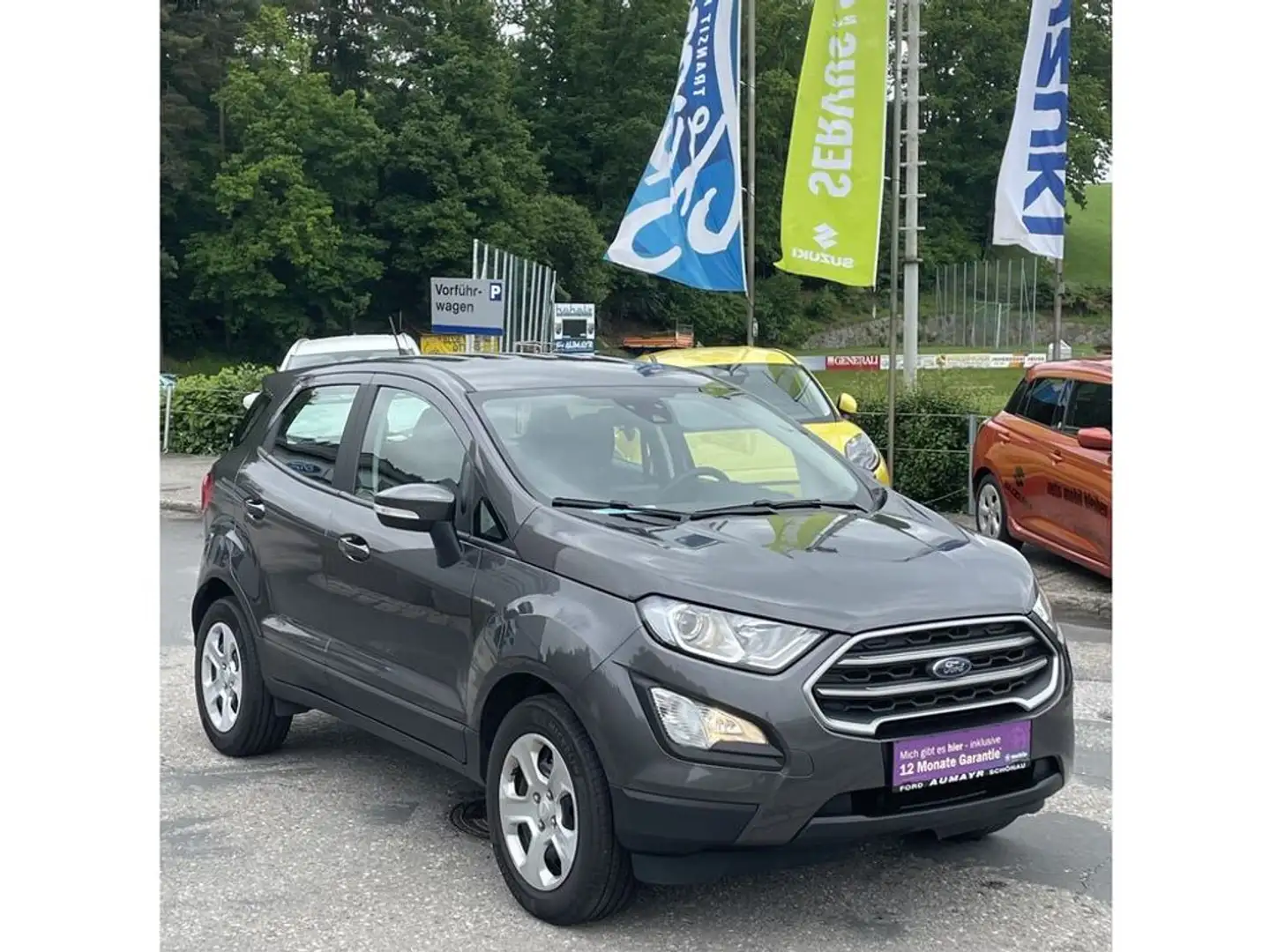 Ford EcoSport Cool&Connect Gris - 2
