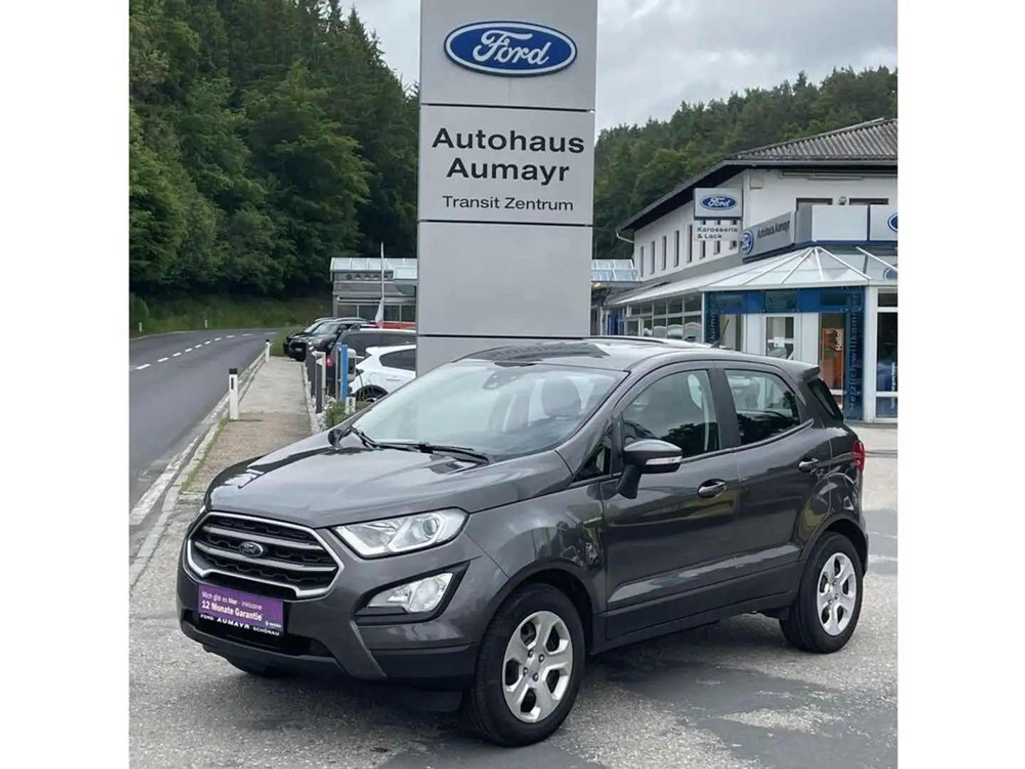 Ford EcoSport Cool&Connect Gris - 1