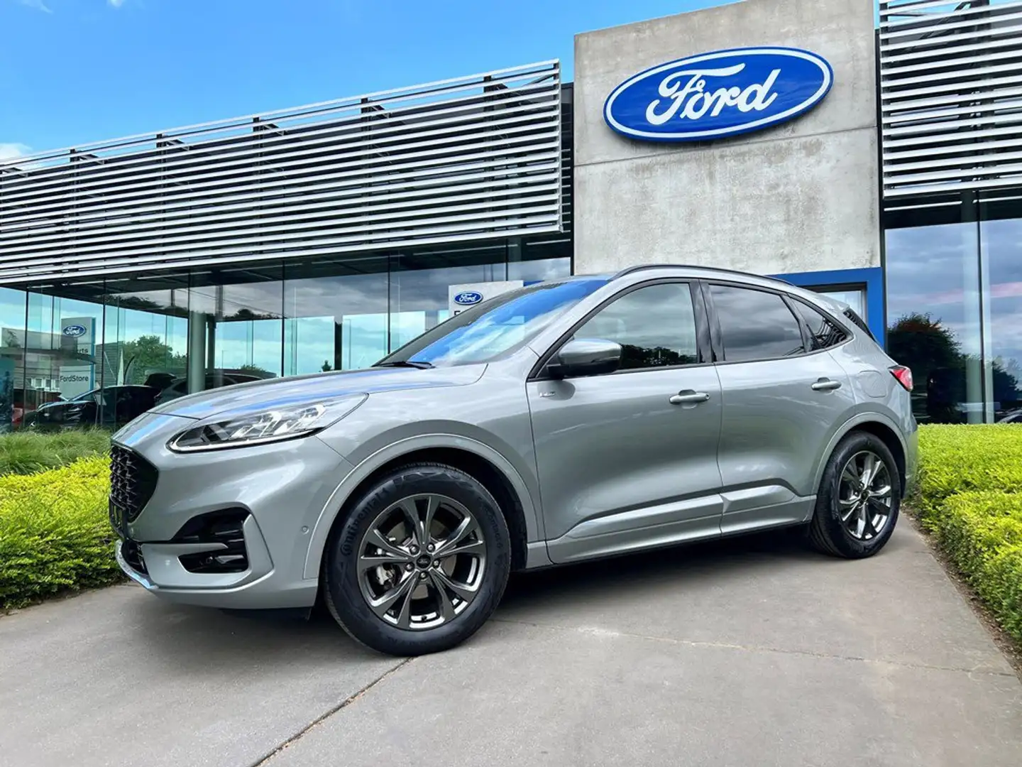 Ford Kuga ST-Line X - 2.5i FHEV - 190 PK! Gris - 1