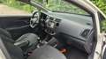 Kia Rio Rio 1.2 CVVT Design Edition Blanc - thumbnail 9