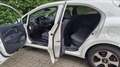 Kia Rio Rio 1.2 CVVT Design Edition Wit - thumbnail 18