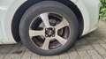 Kia Rio Rio 1.2 CVVT Design Edition Blanc - thumbnail 14