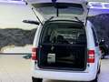 Volkswagen Caddy Edition30  Behindertengerecht-Ladeboy Weiß - thumbnail 6