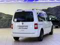 Volkswagen Caddy Edition30  Behindertengerecht-Ladeboy Weiß - thumbnail 5