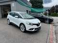 Renault Grand Scenic Grand Scénic  115 Intens Intens 7 Sitzer Weiß - thumbnail 10
