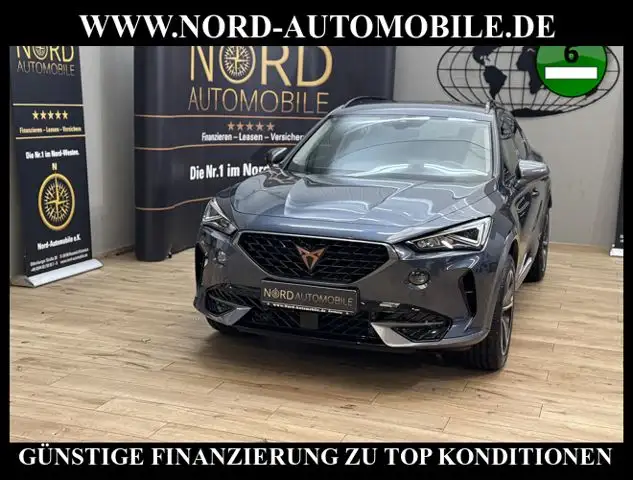 CUPRA Formentor 2.0 TDI DSG AHK/StHZ/Navi/LED/Teillede