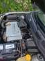 Bertone Cabrio - thumbnail 4