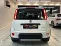 Fiat Panda Panda III 2021 1.0 firefly hybrid City Life s&s Bianco - thumbnail 7