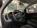 Fiat Panda Panda III 2021 1.0 firefly hybrid City Life s&s Bianco - thumbnail 10