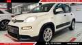 Fiat Panda Panda III 2021 1.0 firefly hybrid City Life s&s Bianco - thumbnail 1