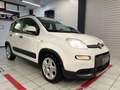 Fiat Panda Panda III 2021 1.0 firefly hybrid City Life s&s Bianco - thumbnail 5
