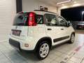 Fiat Panda Panda III 2021 1.0 firefly hybrid City Life s&s Bianco - thumbnail 6