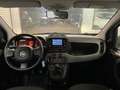 Fiat Panda Panda III 2021 1.0 firefly hybrid City Life s&s Bianco - thumbnail 11