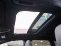 Audi RS6 Performance,Dynamik+,OptikCarbon,22",305km/h Schwarz - thumbnail 20