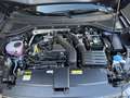 Volkswagen T-Roc Style 1.5 TSI DSG Style ACC / LED / Kam/ Easy / Clima / PDC / APP / SHZ Bleu - thumbnail 22