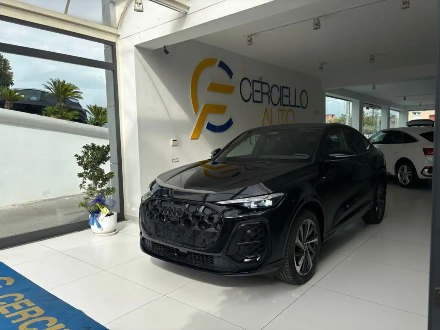 Audi Q5 SPB TDI 150 kW mHEV+ S tronic quattro S line editi Nero - 1