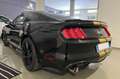 Ford Mustang G.T 5.0 SHELBY PACK MANUALE Black - thumbnail 9