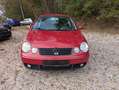 Volkswagen Polo Polo IV  5-Türer 1.4 Tüv 6/27 Comfortline Rot - thumbnail 8