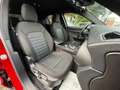 Alfa Romeo Stelvio Stelvio 2.2 Turbodiesel 160 CV AT8 RWD Super Rot - thumbnail 13