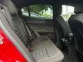 Alfa Romeo Stelvio Stelvio 2.2 Turbodiesel 160 CV AT8 RWD Super Rot - thumbnail 11
