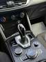 Alfa Romeo Stelvio Stelvio 2.2 Turbodiesel 160 CV AT8 RWD Super Rot - thumbnail 10